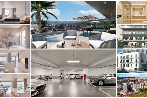 Collage de Vistas